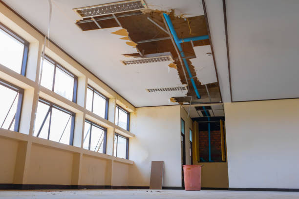 Best Fire Damage Restoration  in Double Springs, AL