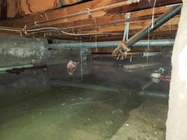 Reliable Double Springs, AL Water damage restoration Solutions