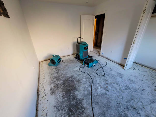 Best Residential water damage restoration  in Double Springs, AL