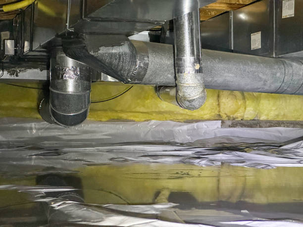 Best Flood damage cleanup  in Double Springs, AL