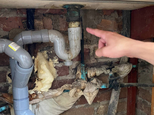 Best Professional water damage repair  in Double Springs, AL