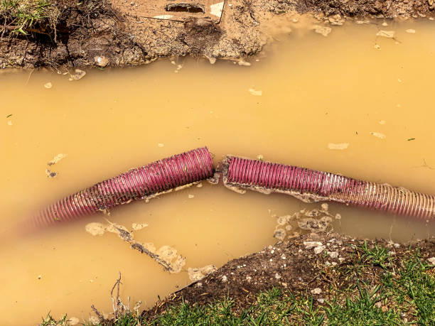 Best Water damage mitigation services  in Double Springs, AL