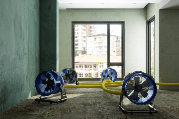 Best Sewage cleanup and water damage restoration  in Double Springs, AL